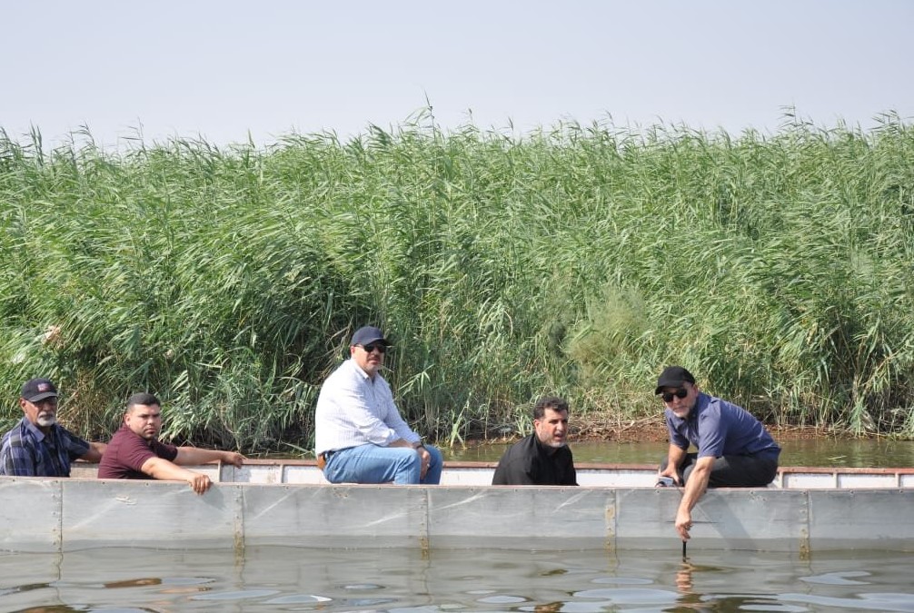 هور الحويزة