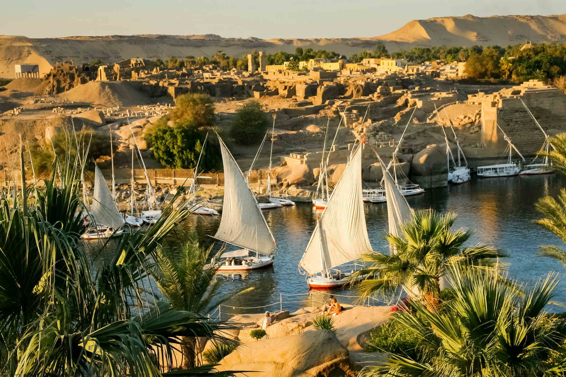 اسوان   المصدر:وسائل اعلام