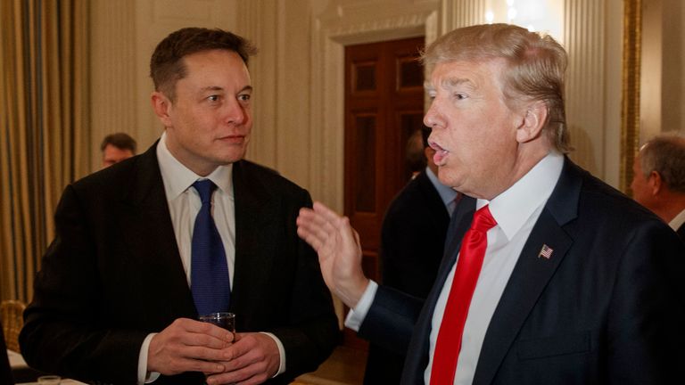Elon Musk and Donald Trump at the White House in 2017. Pic: AP
