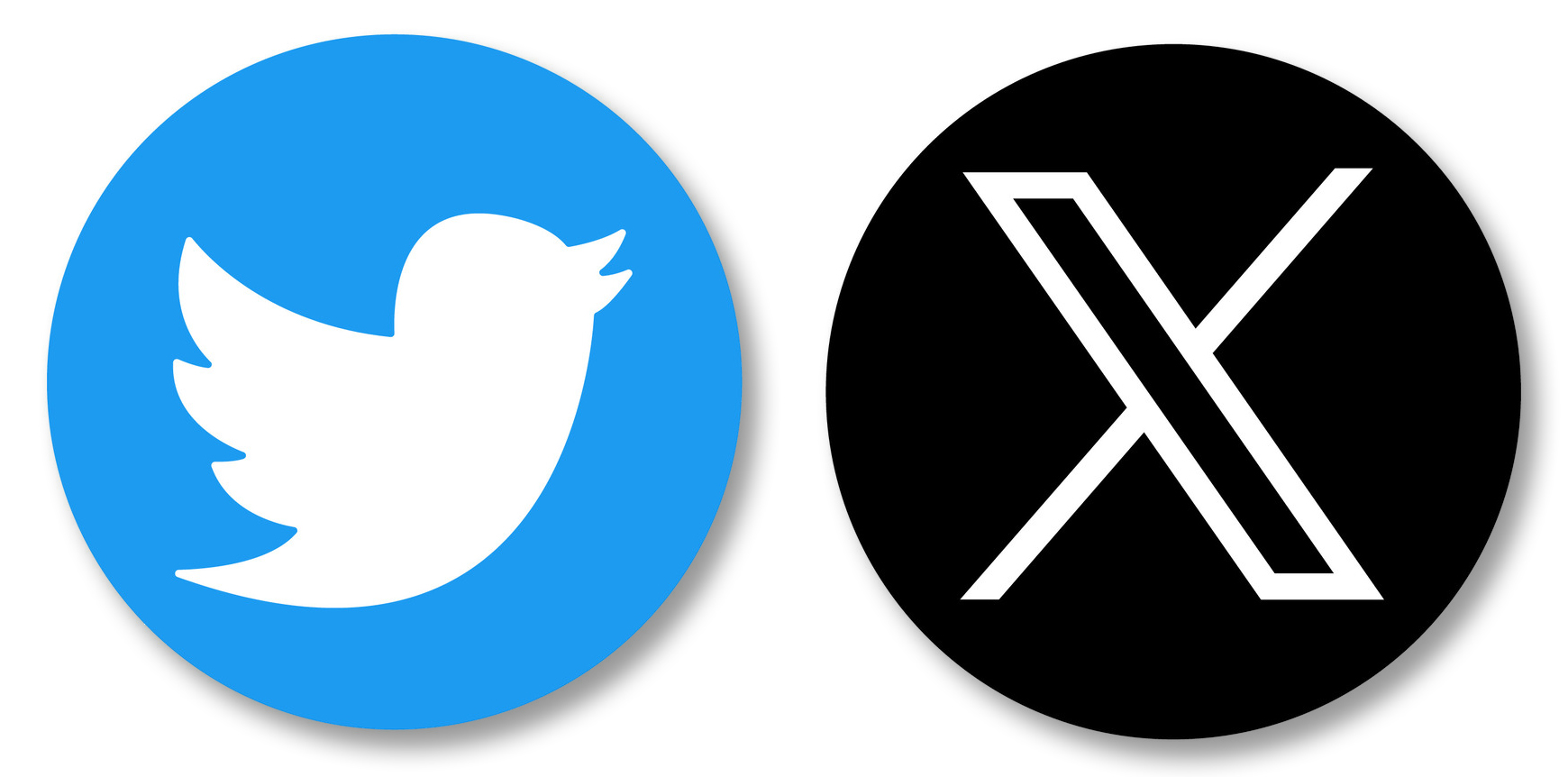 X ( Twitter's Logo )