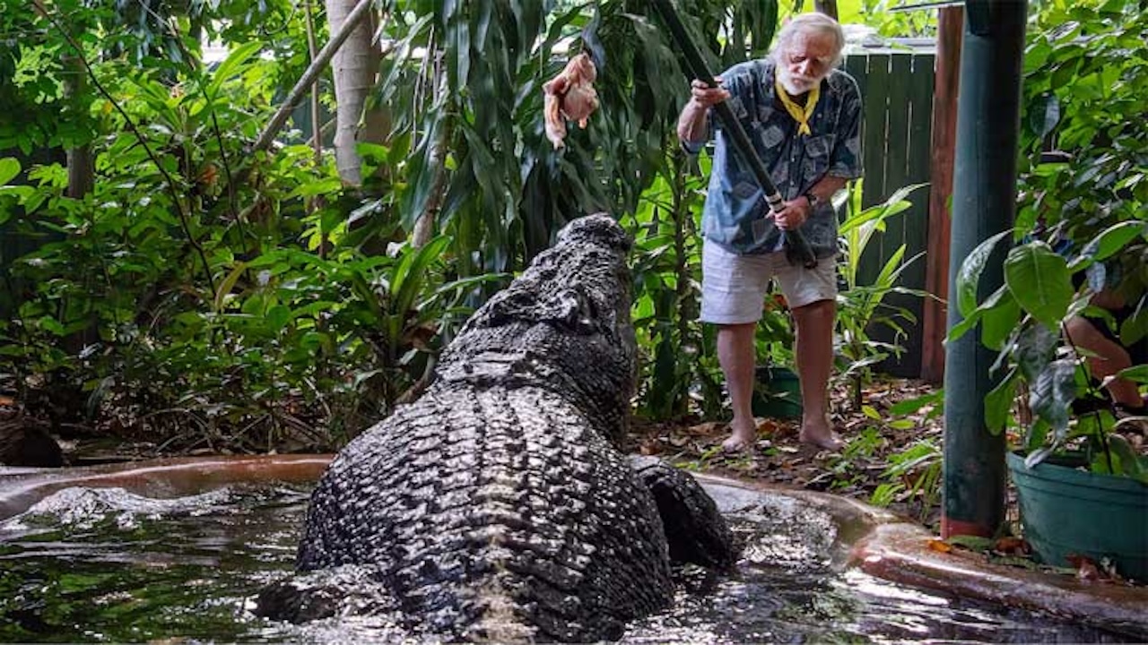 Cassius, the Worlds Largest Crocodile in captivity, has died