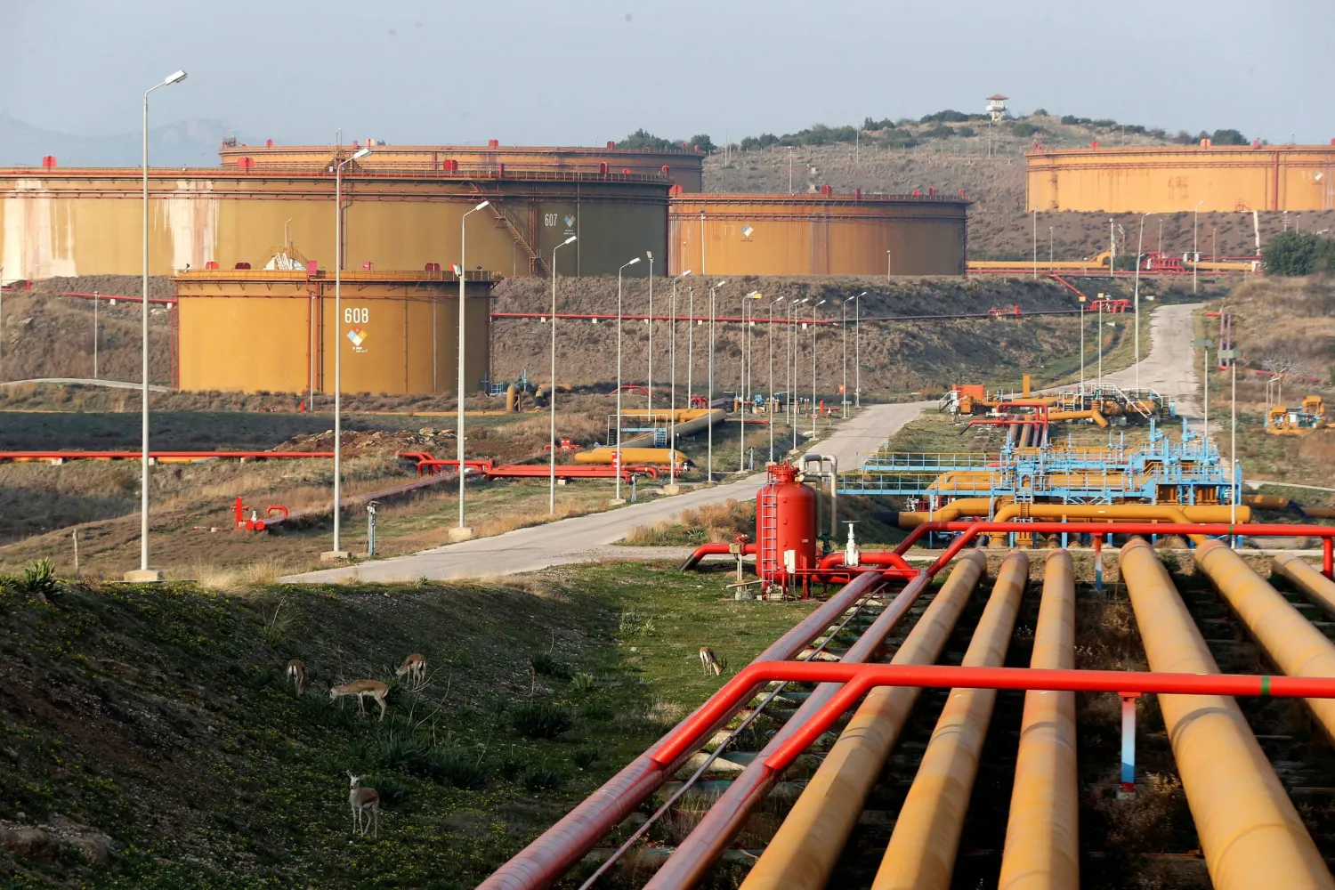 A general view of oil tanks at Türkiye's Mediterranean port of Ceyhan, which is run by state-owned Petroleum Pipeline Corporation (BOTAS), some 70 km from Adana February 19, 2014. REUTERS/Umit Bektas/File Photo
