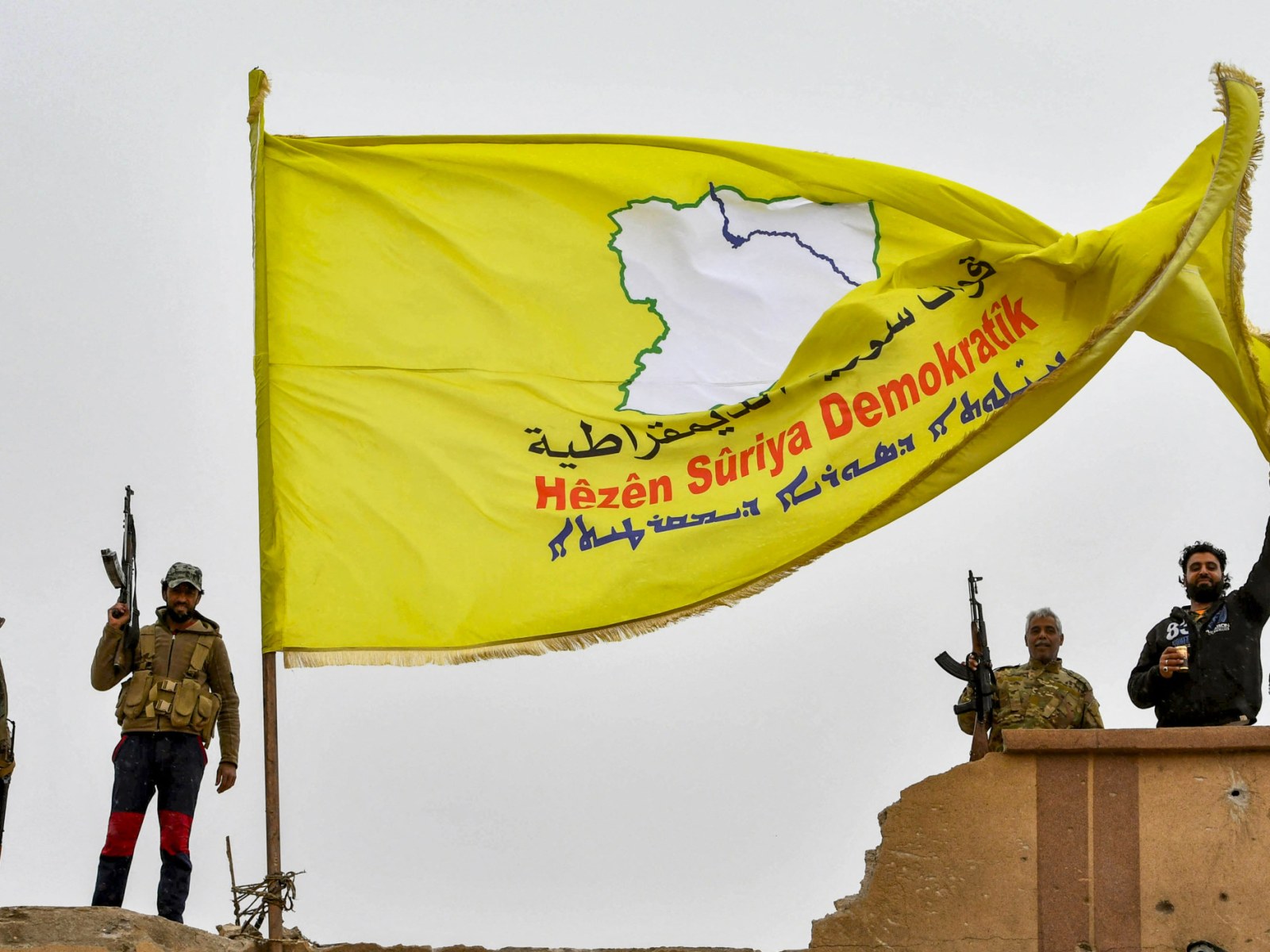 The SDF forces