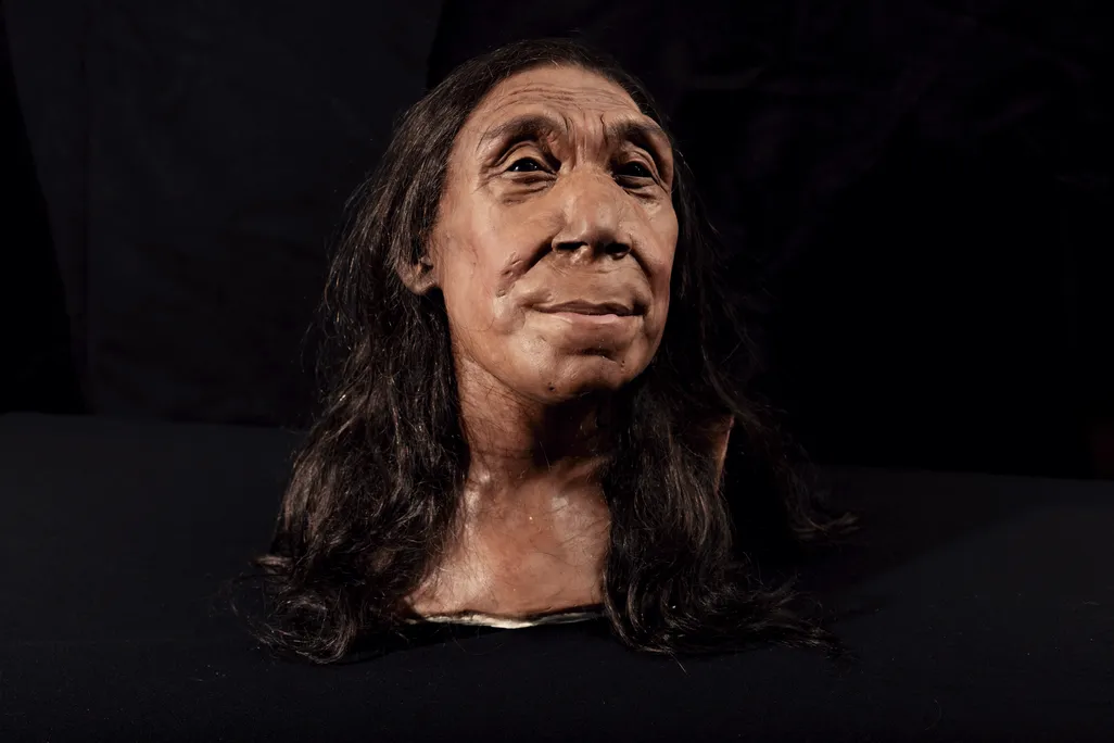 Shanidar Z likely stood 5 feet tall and was around 40 years old when she died. BBC Studios / Jamie Simonds

