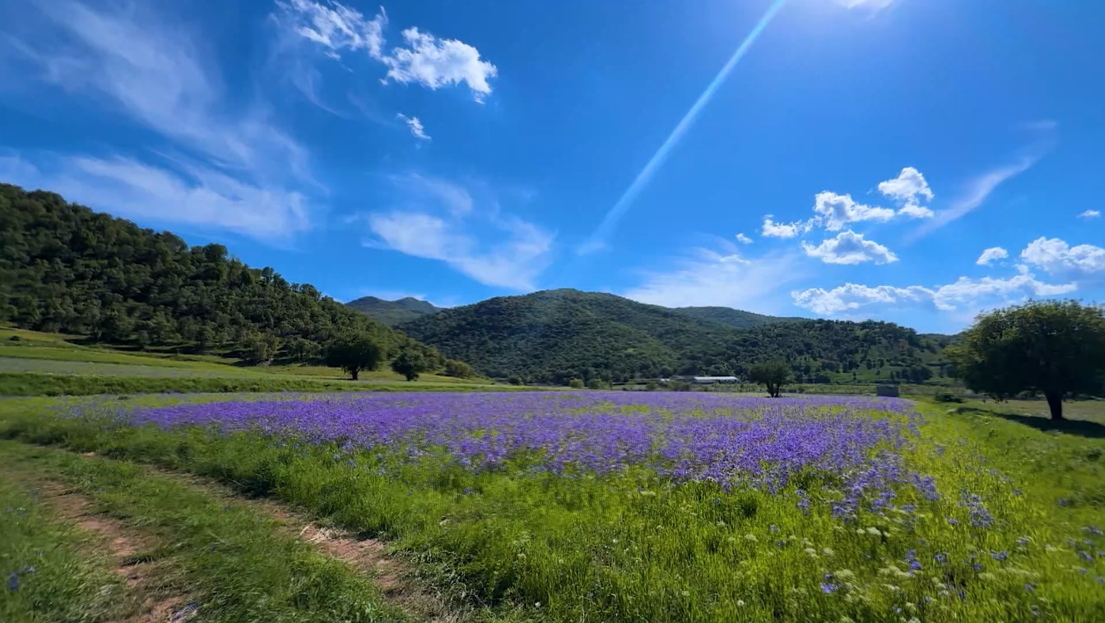 Penjwen is known as the “Land of the Purple Flowers,” referring to a rare floral variety that covers large parts of the district during the spring season.
