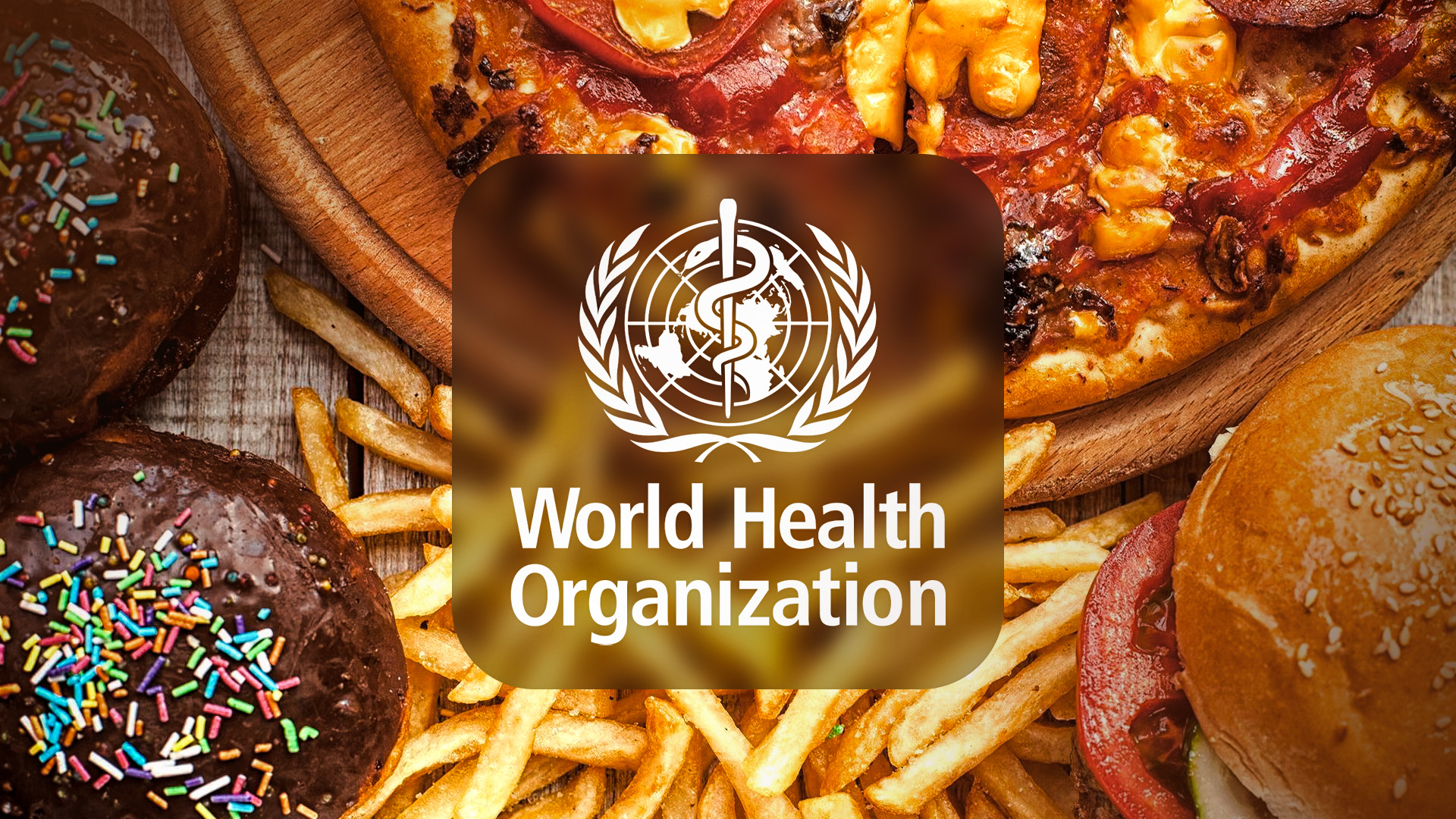 World Health Organization logo 