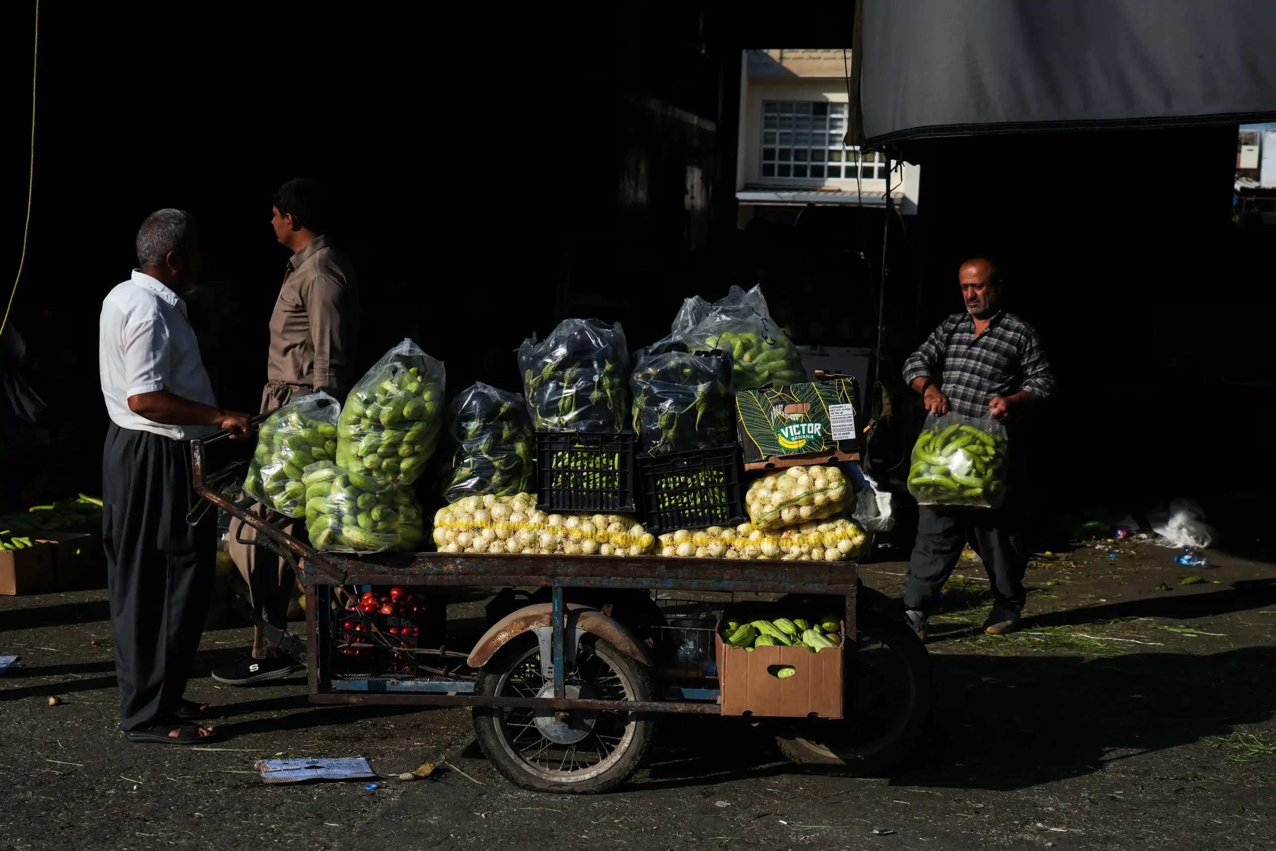 Workers transport freshly harvested vegetables on a three-wheeled cart at a wholesale produce market in the Kurdistan Region.

Photo: Hama Sur / Channel8