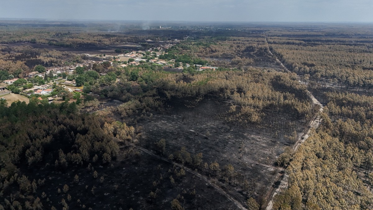 This aerial view shows a burnt area in the town of Le Porge, following a wildfire in the Gironde Department, south-western France, on July 27, 2026. After several days of uninterrupted spread of the massive wildfire on the outskirts of Bordeaux, the situation remained generally stable overnight from July 26 to 27, but authorities are concerned about the arrival of a heat wave. (Photo by Ed JONES / AFP)