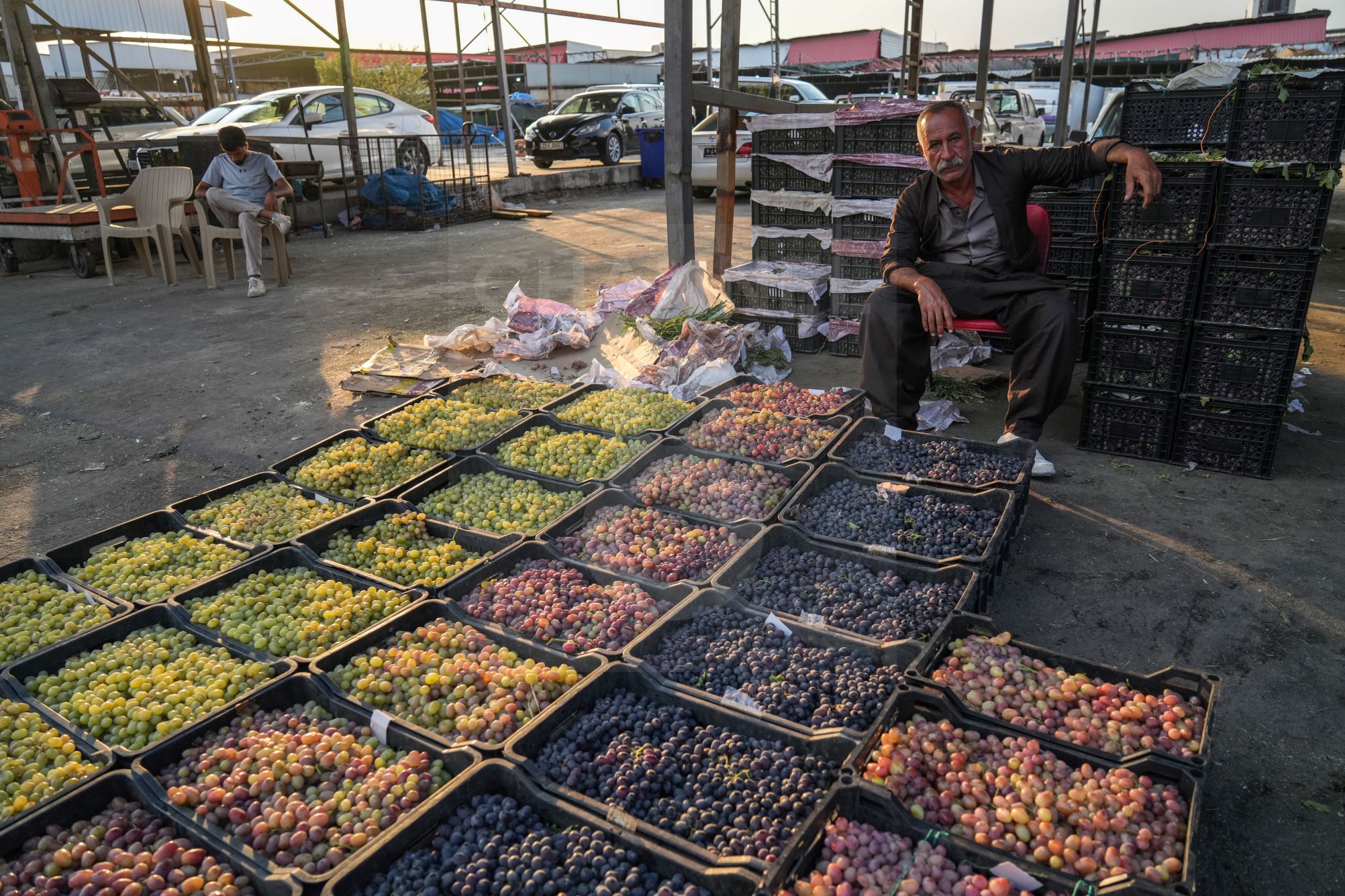 A portion of the Kurdistan Region's grape yield. Photo: Hama Sur - Channel8