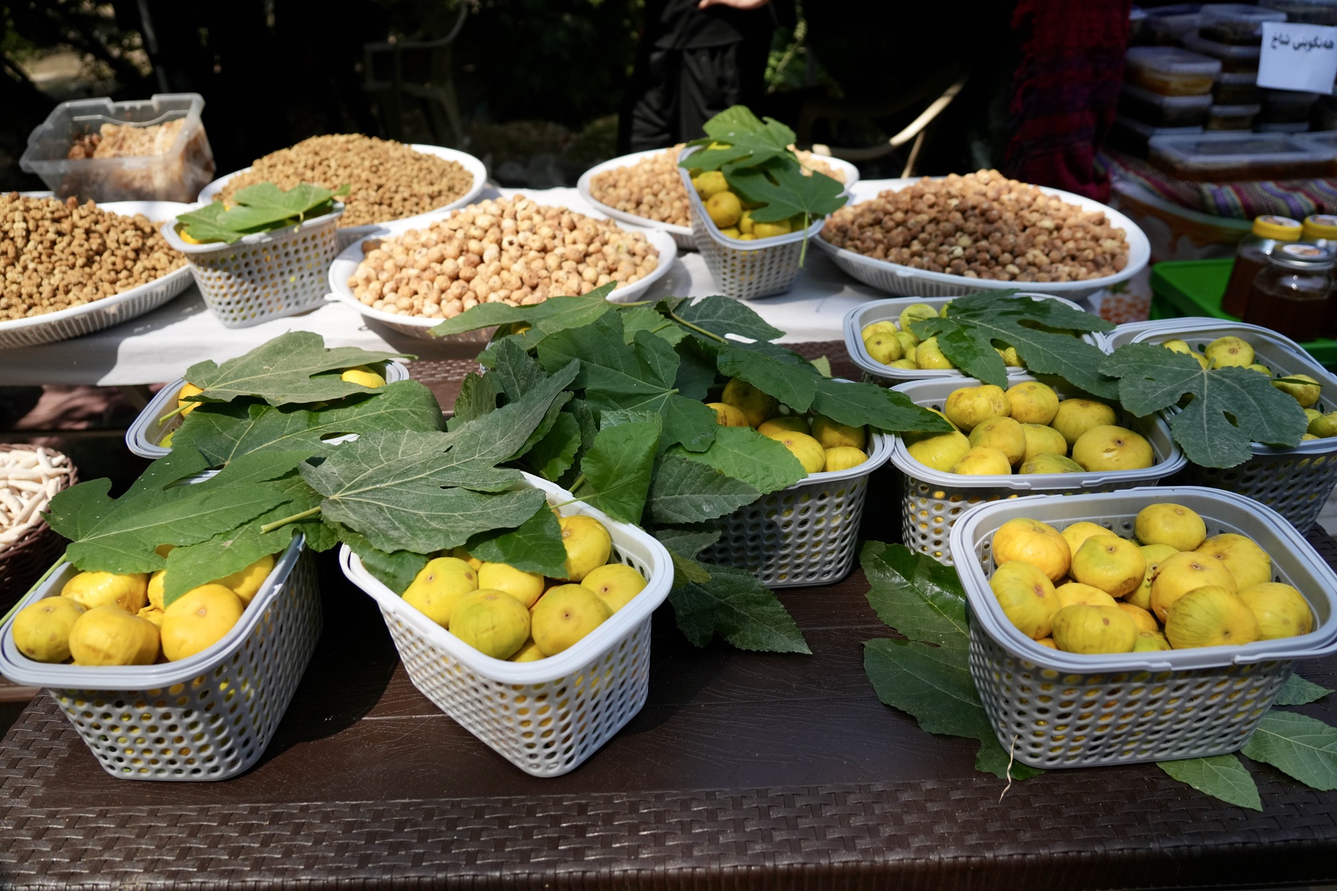 Photo of bowls of local figs and walnuts from Ahmad Awa, Hawraman Festival