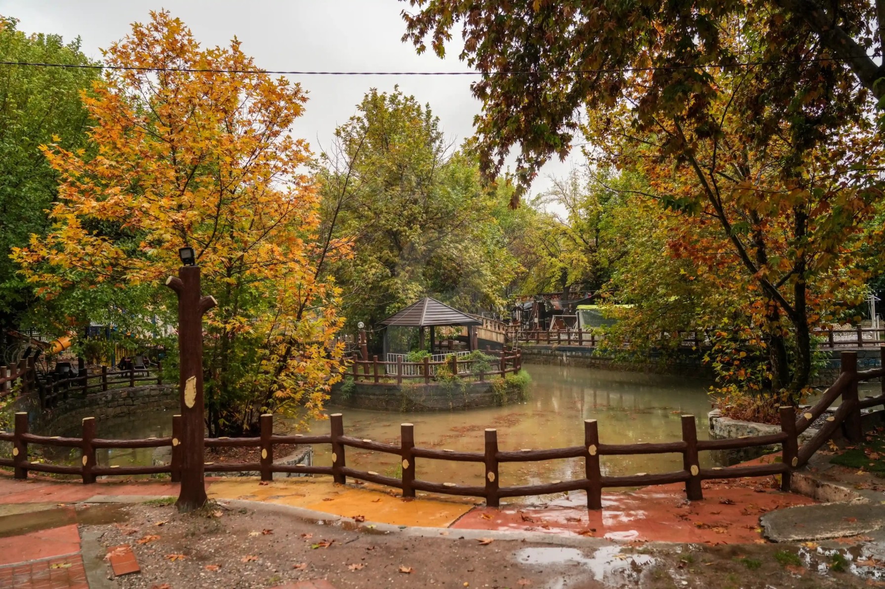Sarchnar Resort in Slemani after the rainfall and autumn leaf fall on November 1, 2024. Photo: Hama Sur / Channel8 

