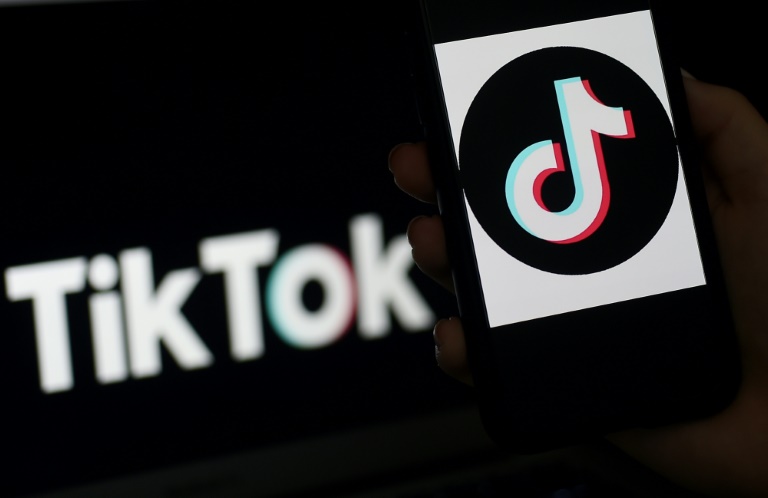 Canada halts TikTok's business activities due to security risks

