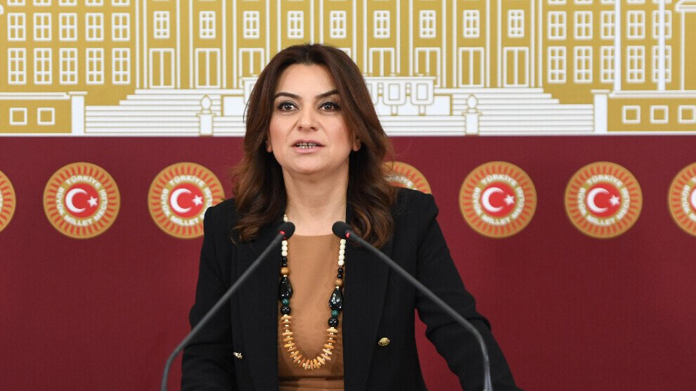 گوڵستان کۆچیغیت، بریکاری سەرۆکی فراکسیۆنی پارتی دەم لە پەرلەمانی تورکیا