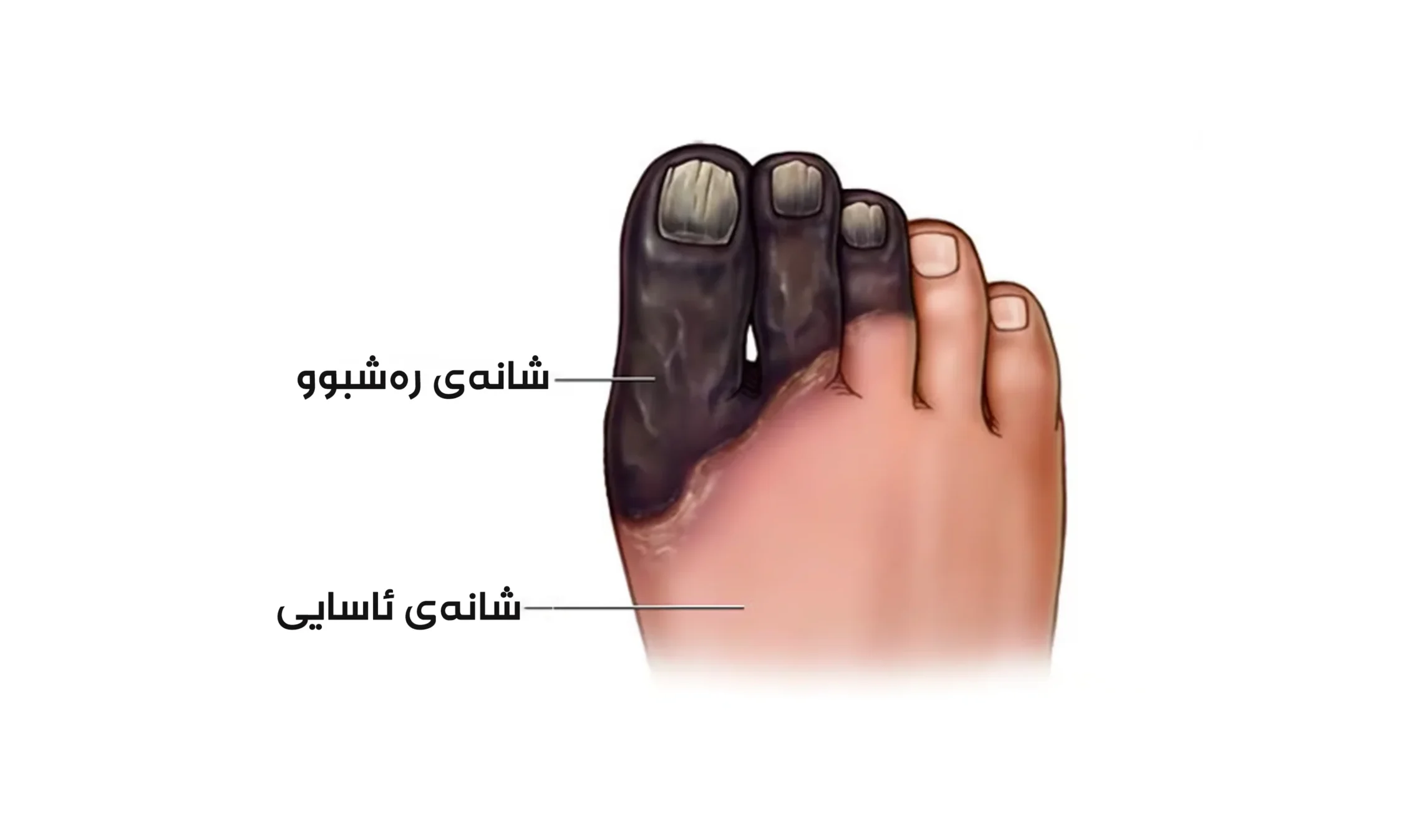 نابێت پشتگوێبخرێت