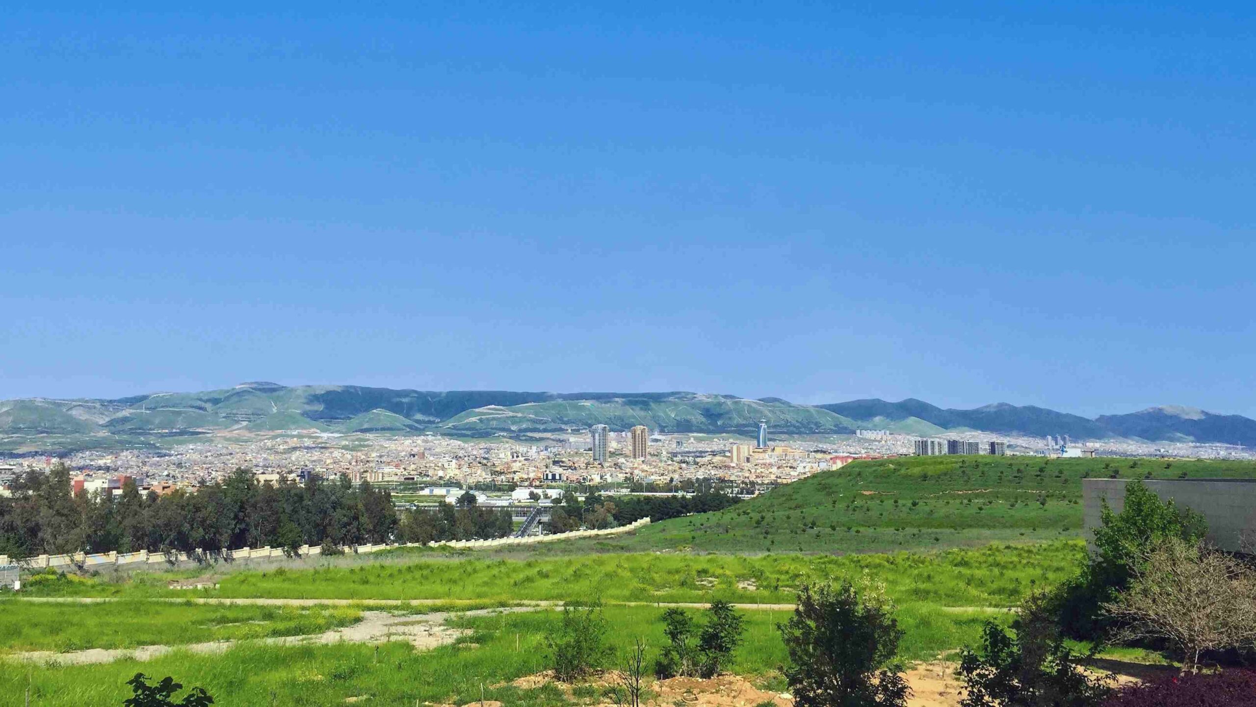 شاری سلێمانی