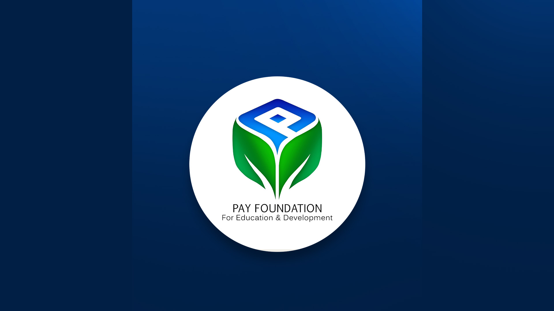 لۆگۆی دامەزراوەی پەی