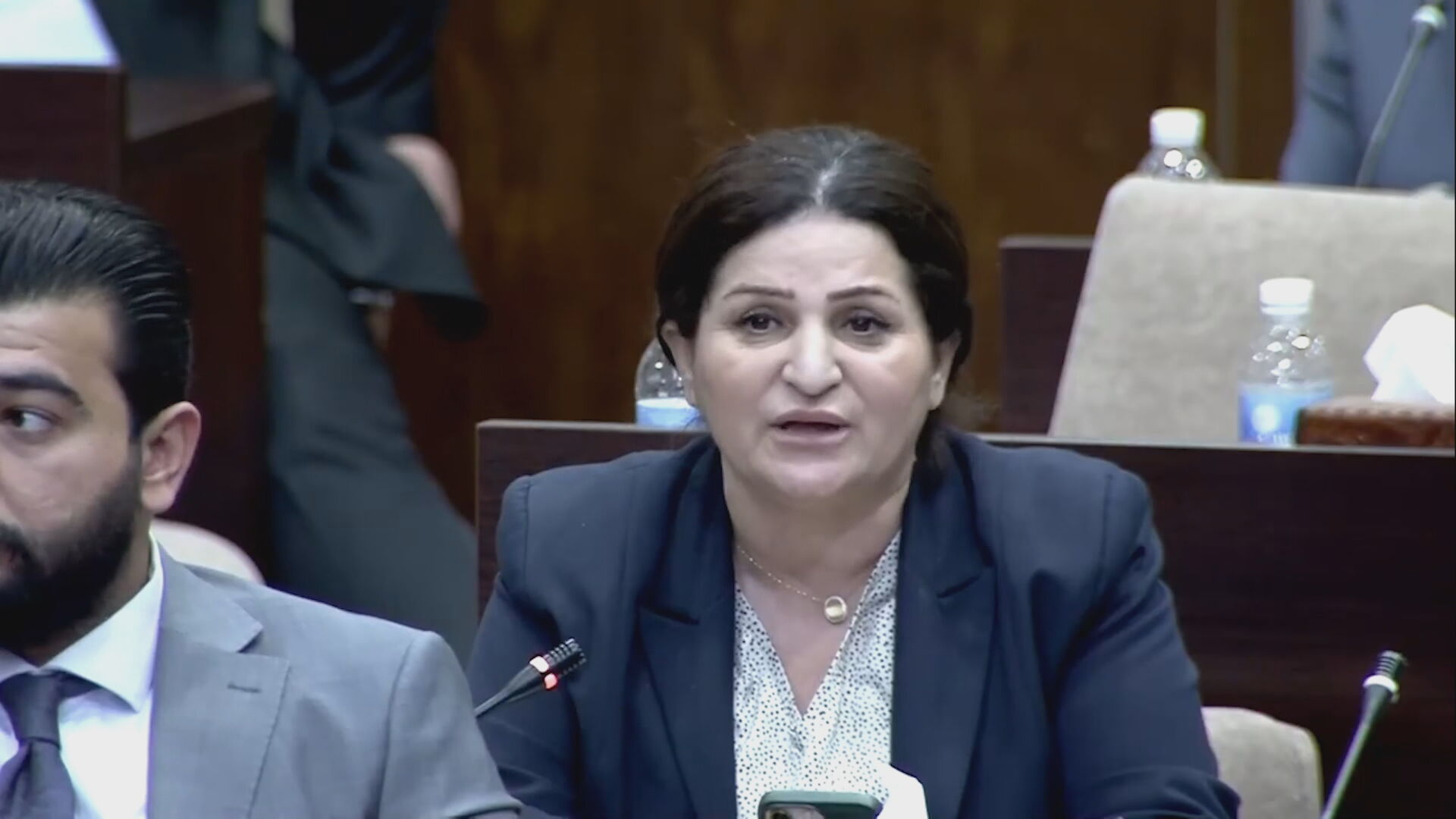 سروە محەمەد، لە کاتی پێشکەشکردنی گوتەیەکیدا لە ئەنجوومەنی نوێنەرانی عێراق