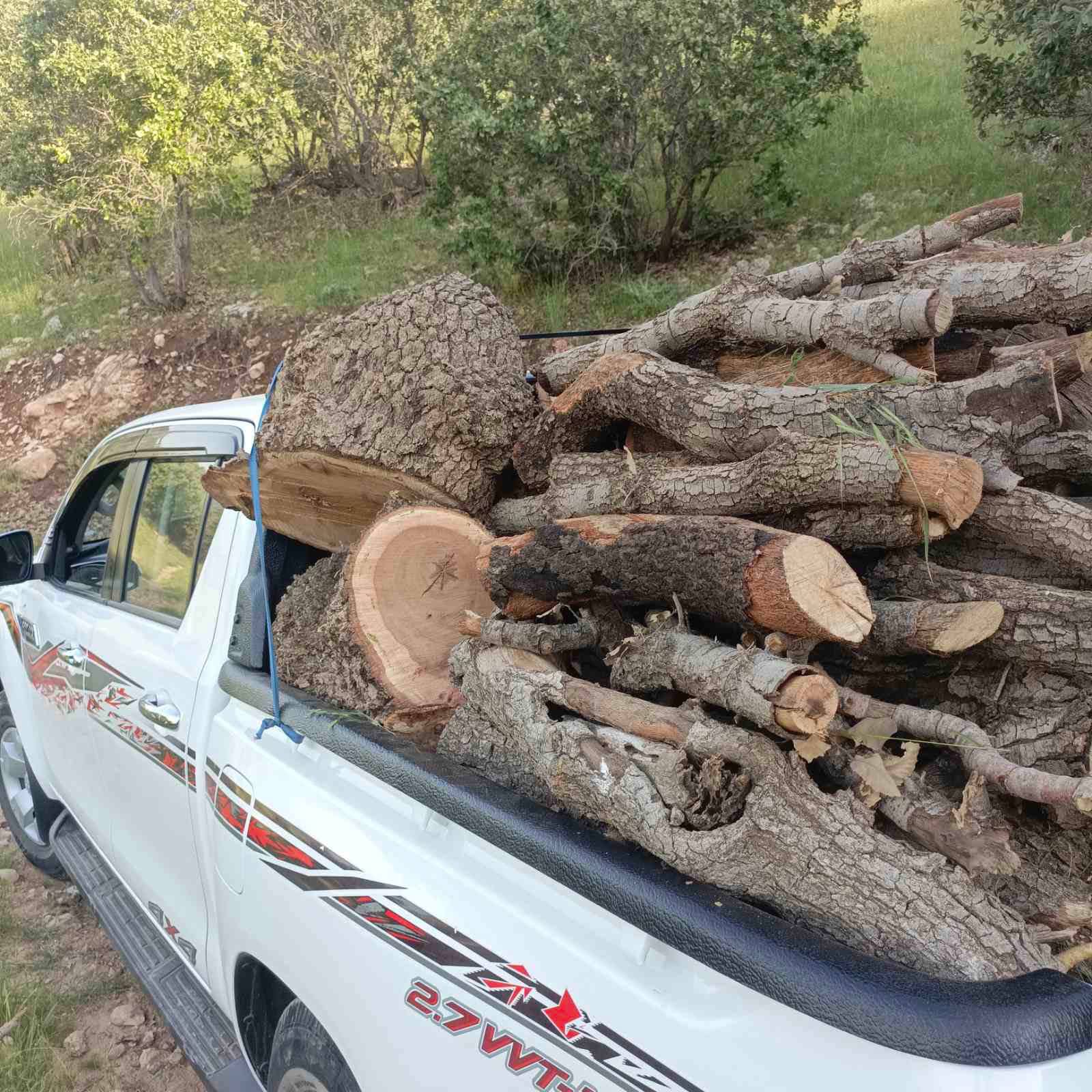 پۆلیسی دارستان چووەتە شوێنی بڕینەوەی چەندین دار و دەستی بەسەر کورەی خەڵوز و ژمارەیەک داری بڕاوەدا گرتووە