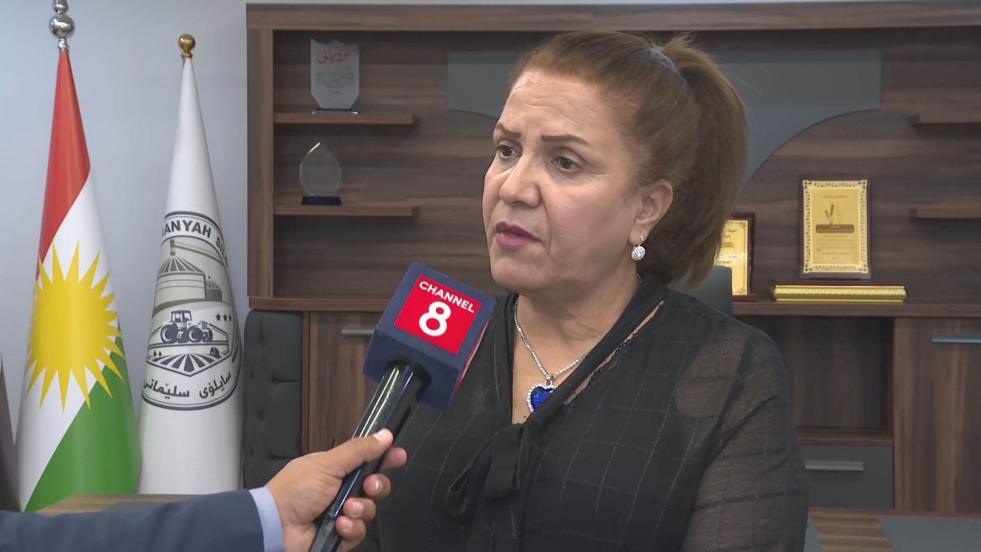 نەسرین ئەحمەد، بەڕێوەبەری سایلۆکانی سلێمانی 