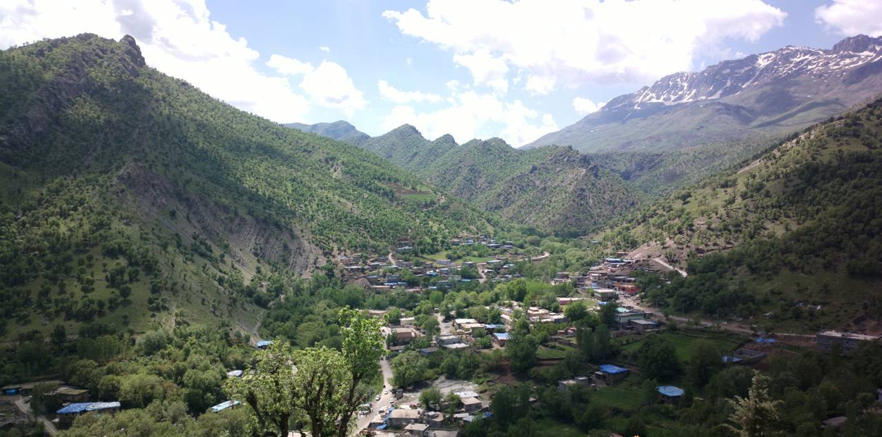 دیمەنێکی گشتی شارەدێی وەرتێ