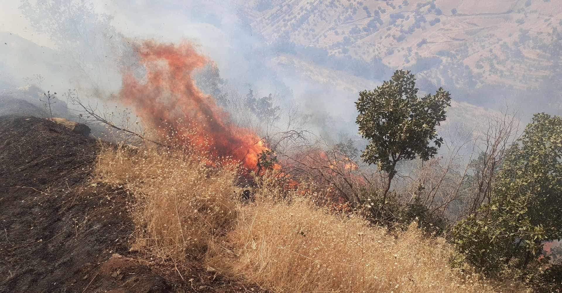 دیمەنێک لە ئاگرەکەی سەر سنووری هەڵەبجە