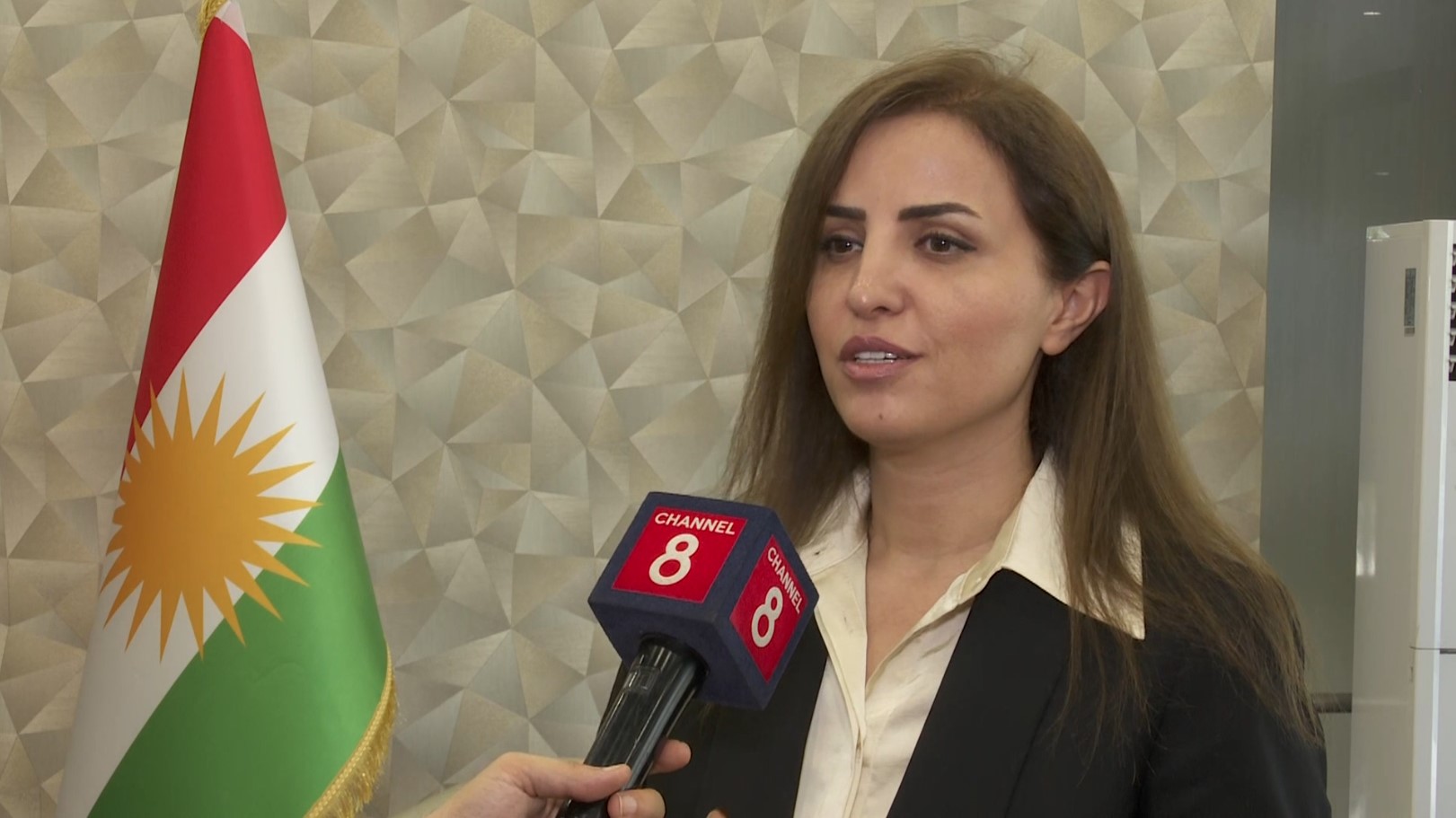 چیمەن بارزانى، ئەندامى لیژنەى ئاسایش و بەرگری لە ئەنجوومەنى نوێنەرانی عێراق