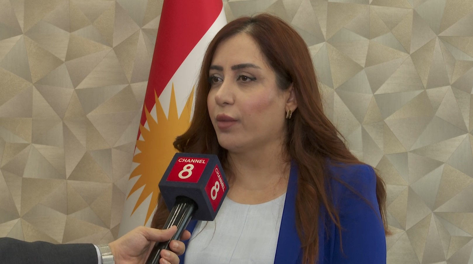 دیلان غەفوور، ئەندامی ئەنجوومەنی نوێنەرانی عێراق 
