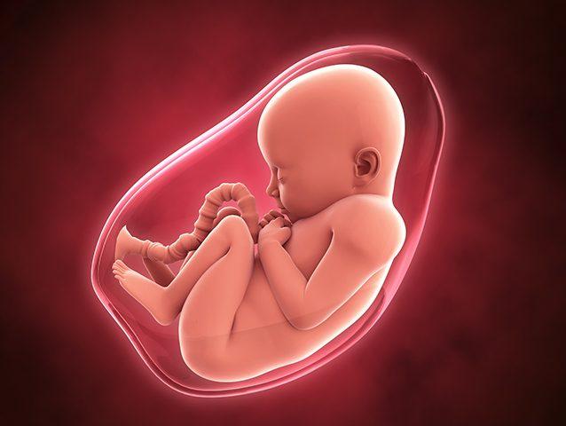 وێنەی منداڵێک لە سکی  دایکیدا