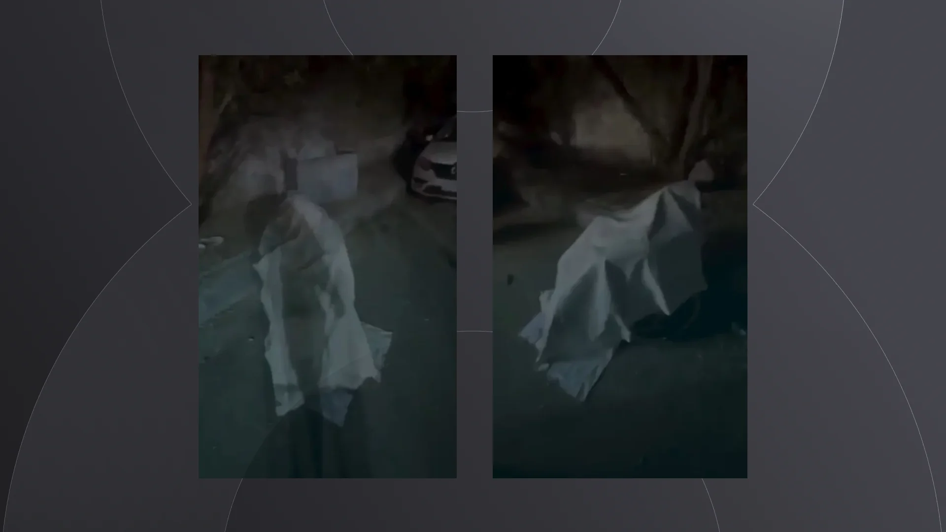 Description of the image