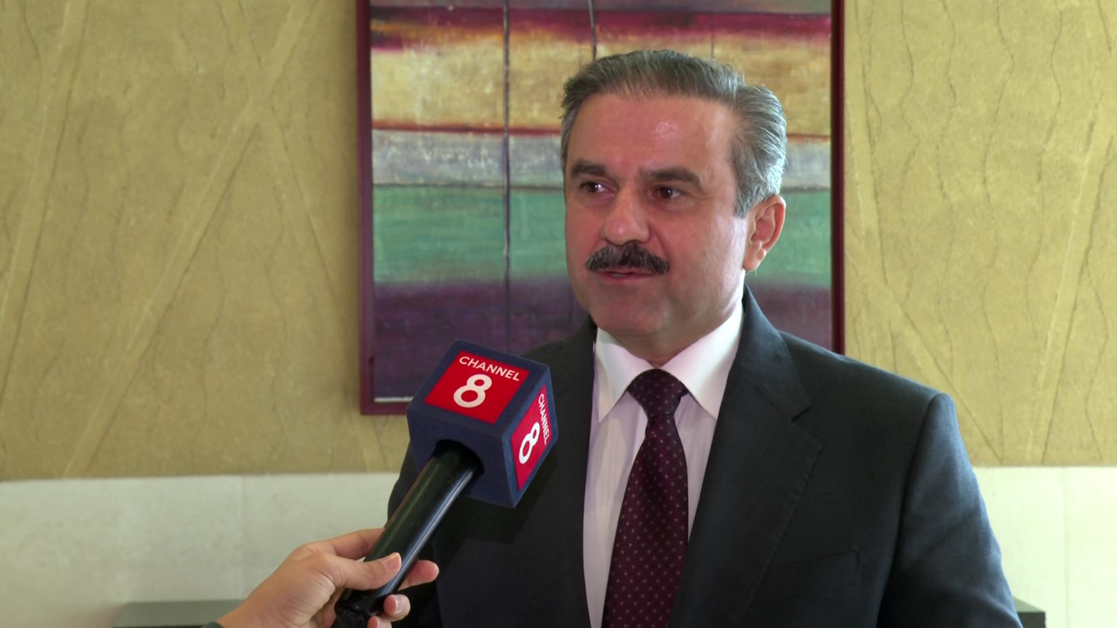 محەمەد شوکرى، سەرۆکى دەستەى وەبەرهێنانى هەرێمى کوردستان 