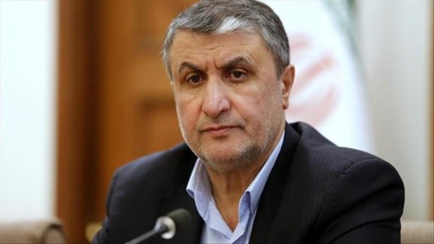 محمد اسلامی، رئیس سازمان انرژی اتمی ایران